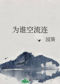为谁空流连